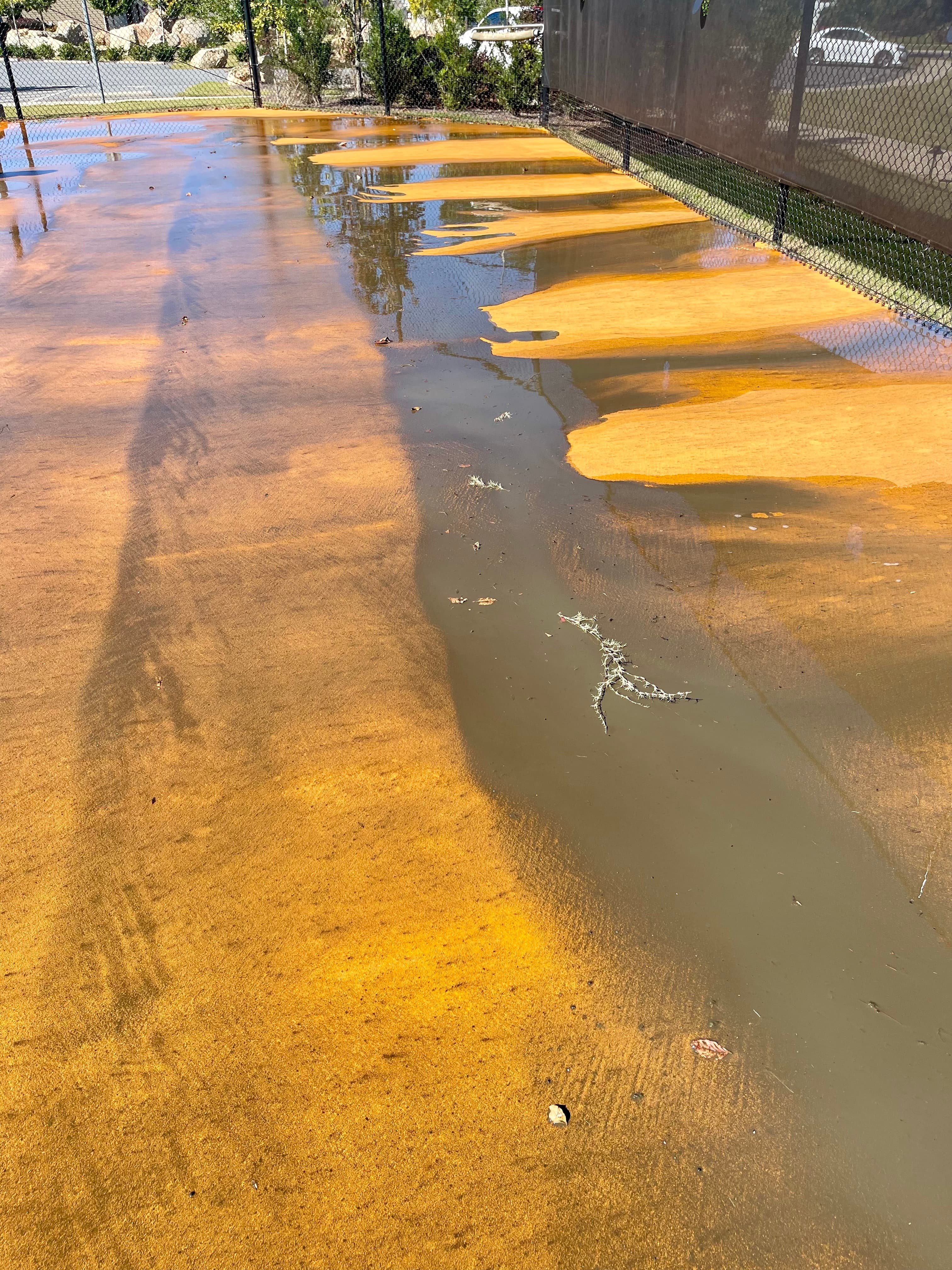 Tennis court surface before professional cleaning — algae and pollen buildup